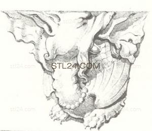 ANIMAL_0079